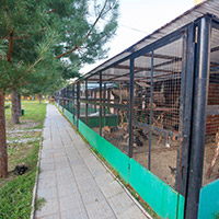 Пансионат &laquo;Морозовский&raquo;