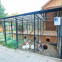 Пансионат &laquo;Морозовский&raquo;