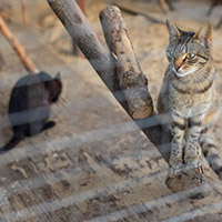 Пансионат &laquo;Морозовский&raquo;