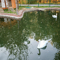 Пансионат &laquo;Морозовский&raquo;