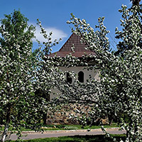 Санаторий &laquo;Крутушка&raquo;