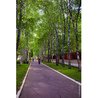 Дом отдыха &laquo;Ершово&raquo; (парк-отель)