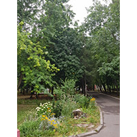 Санаторий &laquo;Лесная поляна&raquo; (Пятигорск)