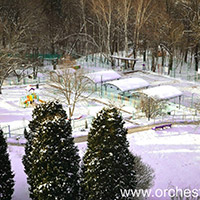 Отель Оркестра Ока в Подмосковье (Orchestra Oka Spa Resort) — фото