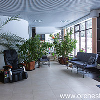 Отель Оркестра Ока в&nbsp;Подмосковье (Orchestra Oka Spa Resort)