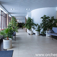 Отель Оркестра Ока в&nbsp;Подмосковье (Orchestra Oka Spa Resort)