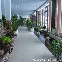 Отель Оркестра Ока в&nbsp;Подмосковье (Orchestra Oka Spa Resort)