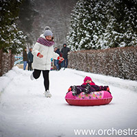 Отель Оркестра Ока в&nbsp;Подмосковье (Orchestra Oka Spa Resort)