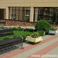 Отель Оркестра Ока в&nbsp;Подмосковье (Orchestra Oka Spa Resort)
