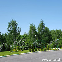 Отель Оркестра Ока в&nbsp;Подмосковье (Orchestra Oka Spa Resort)