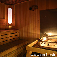 Отель Оркестра Ока в&nbsp;Подмосковье (Orchestra Oka Spa Resort)