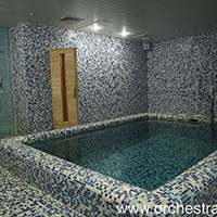 Отель Оркестра Ока в&nbsp;Подмосковье (Orchestra Oka Spa Resort)