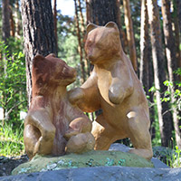 Санаторий &laquo;Сосновая горка&raquo;, Чебаркуль