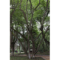 Пансионат &laquo;Грушевая роща&raquo;, Нальчик