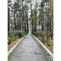 Санаторий &laquo;Ельцовка&raquo;, Новосибирск