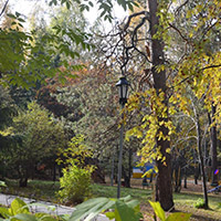 Санаторий &laquo;Ельцовка&raquo;, Новосибирск