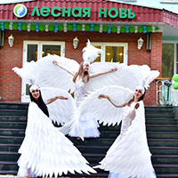Санаторий &laquo;Лесная Новь&raquo;