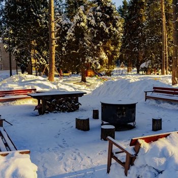 Пансионат с&nbsp;лечением &laquo;Сосновый бор&raquo;