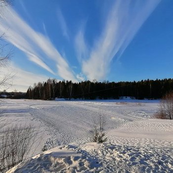 Пансионат с&nbsp;лечением &laquo;Сосновый бор&raquo;