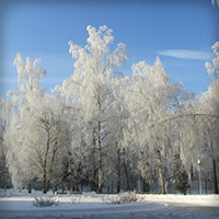 Санаторий &laquo;Звенигородский&raquo;