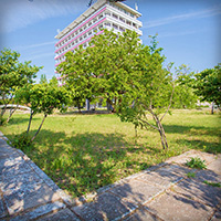 Санаторий &laquo;Таврия&raquo;