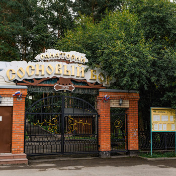Санаторий &laquo;Сосновый бор&raquo; (Алтайский край)