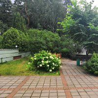 Фото 4