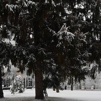 Фото 3