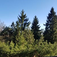 Фото 2