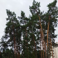 Фото 2