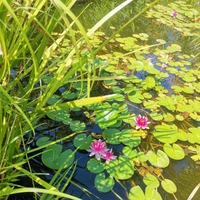 Фото 3