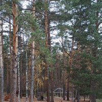 Фото 9